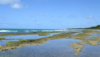 Prysmian Group -Underwater-Submarine-Cables