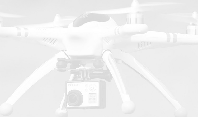 Pimp pro Video Background