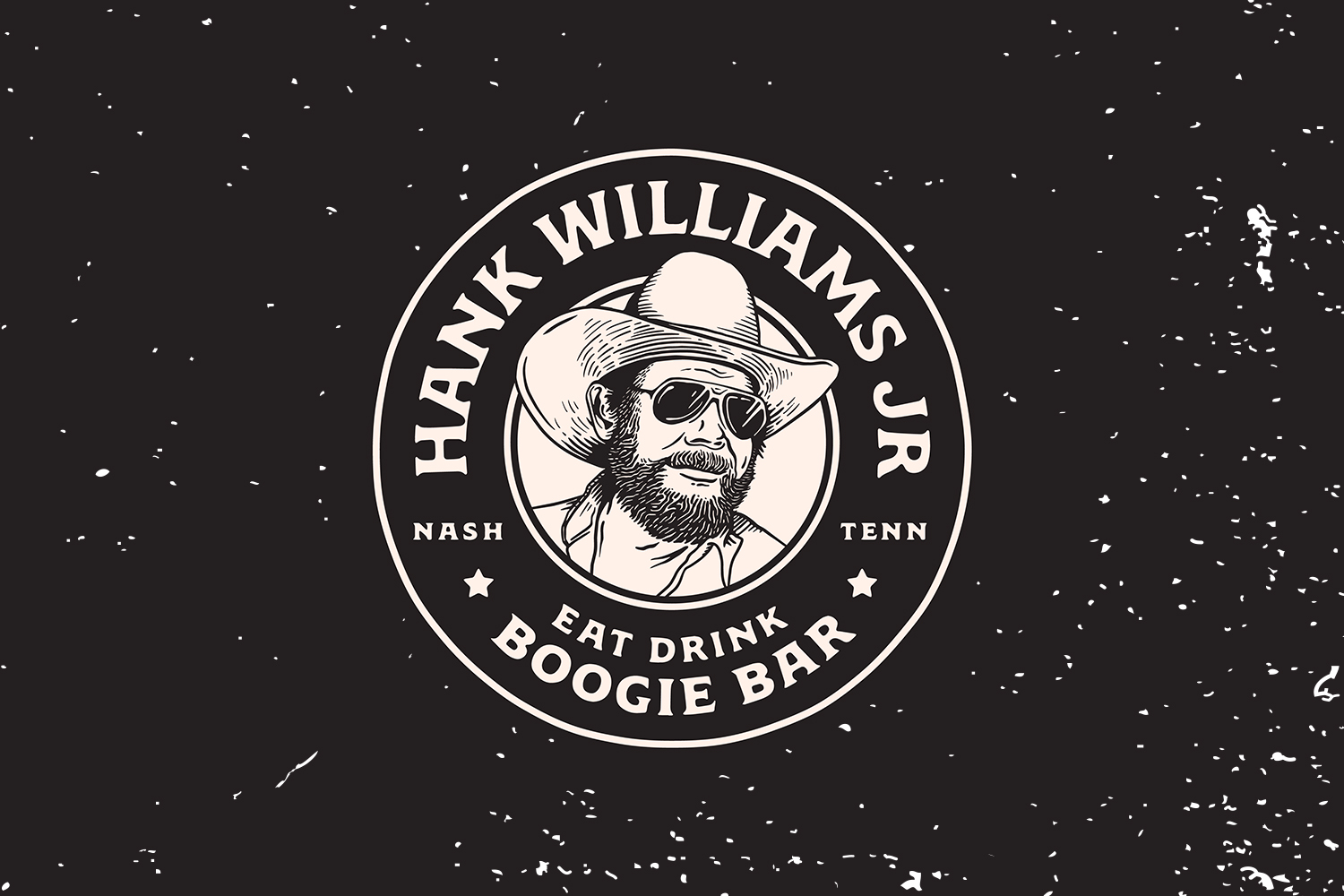 Hank Williams Jr Boogie