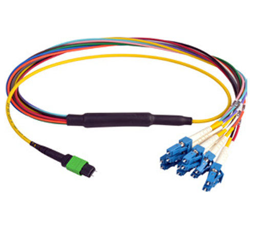 MPO Jumper and Trunk Assemblies