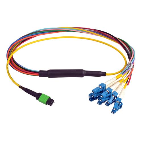 NWS MPO Jumper and Trunk Assemblies NWS MPO Jumper and Trunk Assemblies