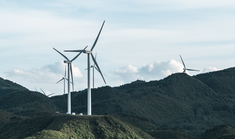 Offset Scope 1 Emissions