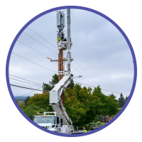 Telecom Operators Telecom Operators